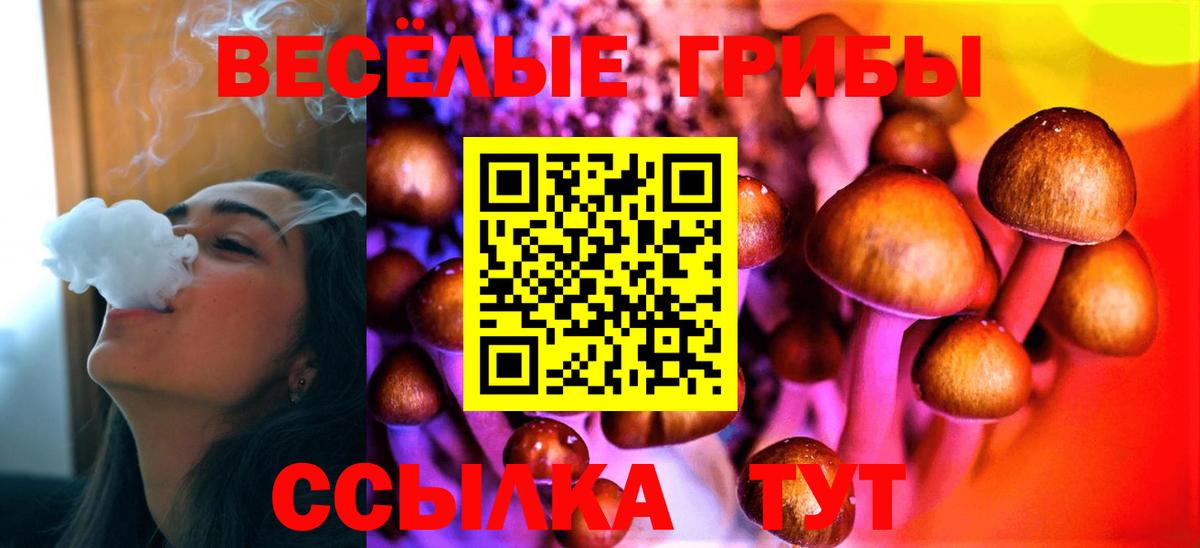 Галлюциногенные грибы мицелий  Галлюциногенные грибы Psilocybine cubensis  Новый Уренгой  Вход с VPN 